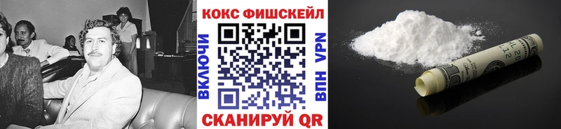 COCAIN Fish Scale  Шумиха 