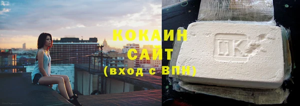 прущий лед Алзамай